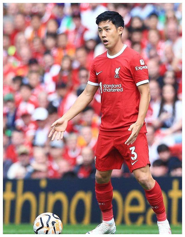 黑白直播nba-关于日本篮球联赛：东京巨人队保持不败纪录的信息