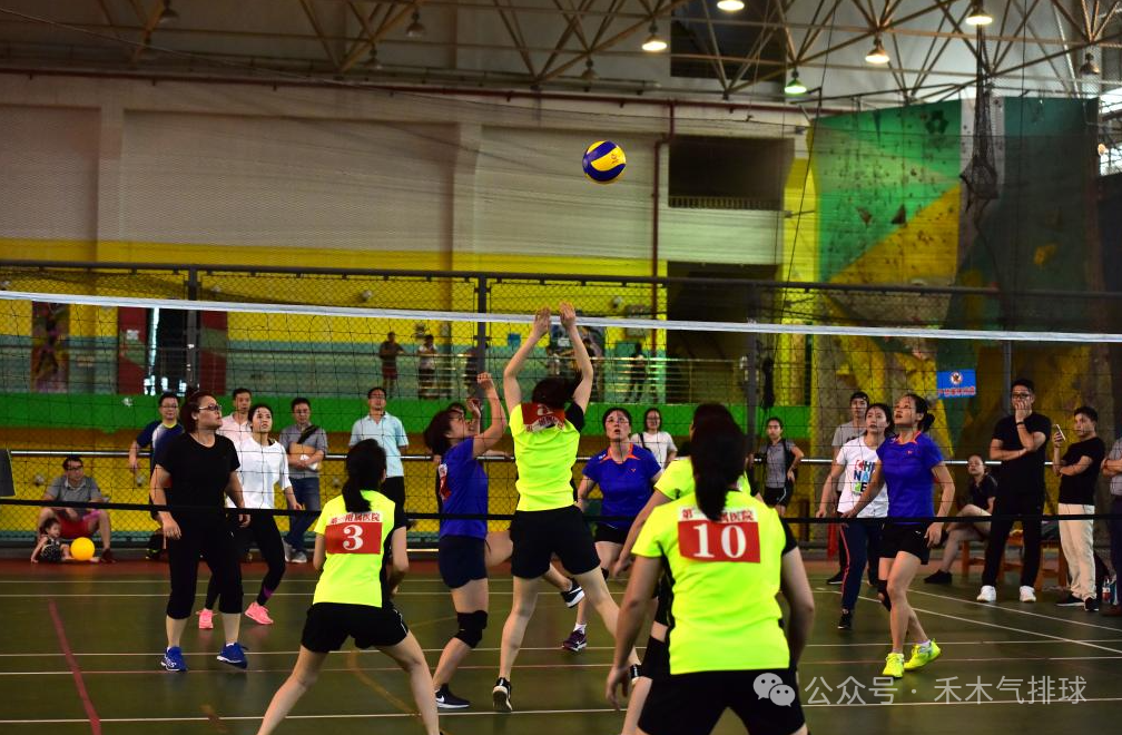 黑白直播体育-包含排球赛场激情澎湃，竞技风采的词条