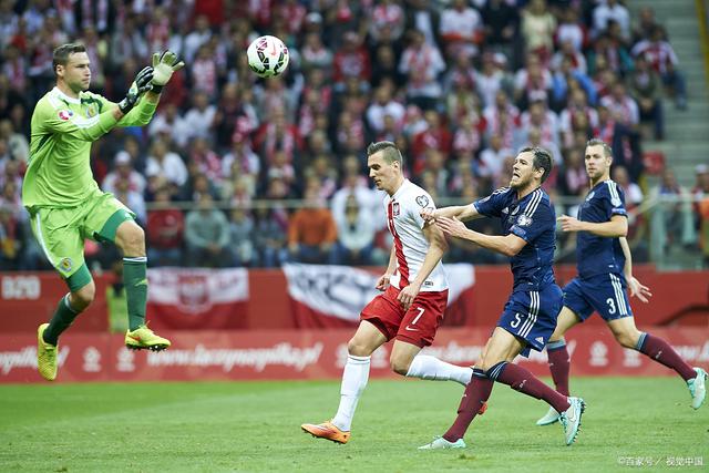 包含捷克大胜爱沙尼亚，欧预赛前景一片光明的词条