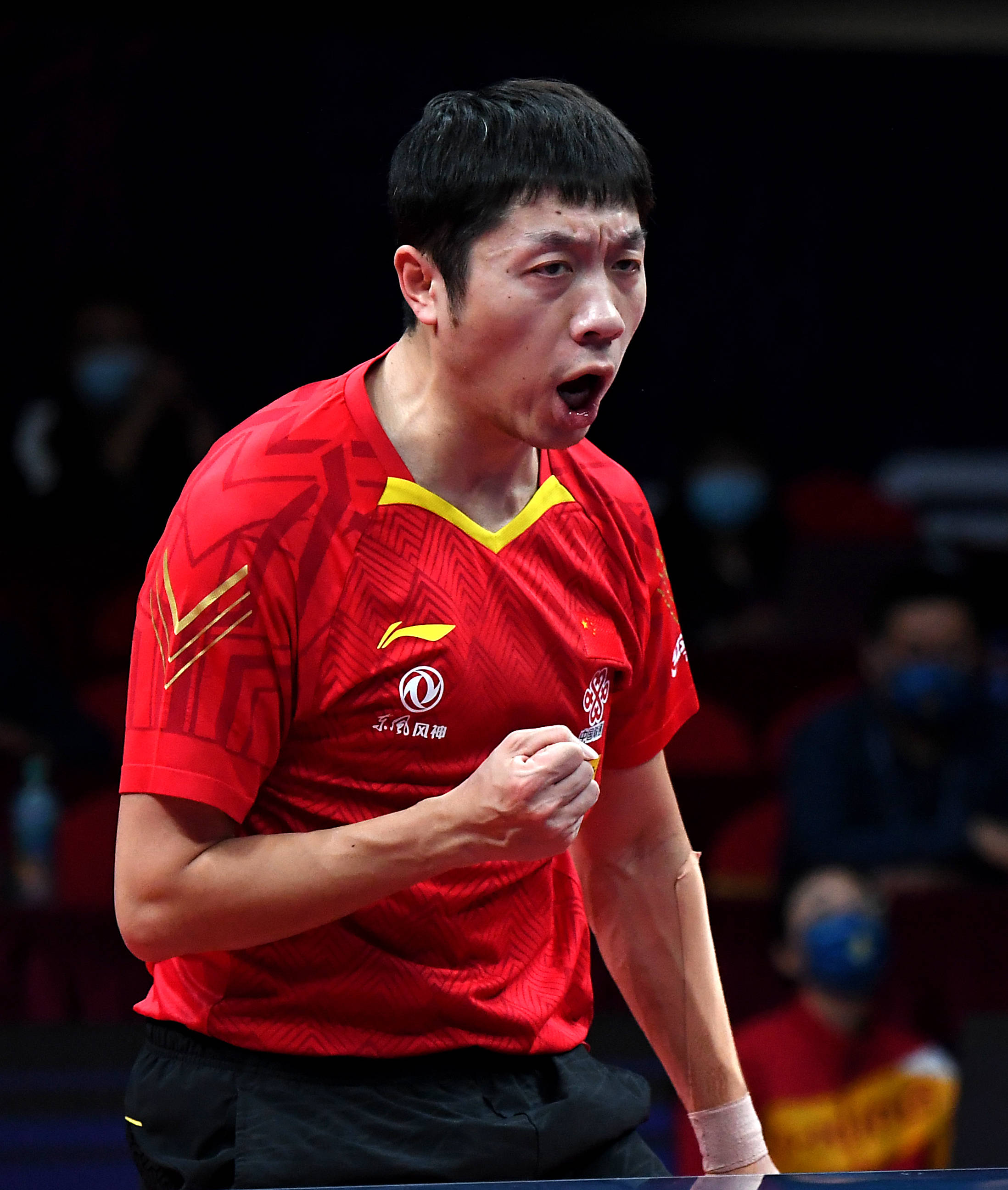 法国乒乓球队翻盘德国乒乓球队，许昕惊艳世界的简单介绍