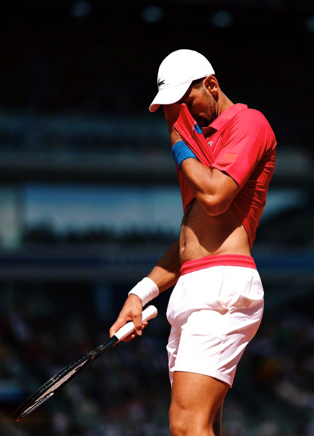 关于世界网球队险胜意大利网球队，德约科维奇高光表现的信息