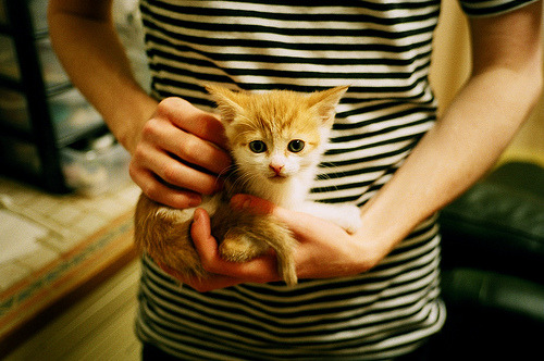 黑白直播nba在线观看-从亚特兰大到世界杯，当詹姆斯在2026年完成跨界征服