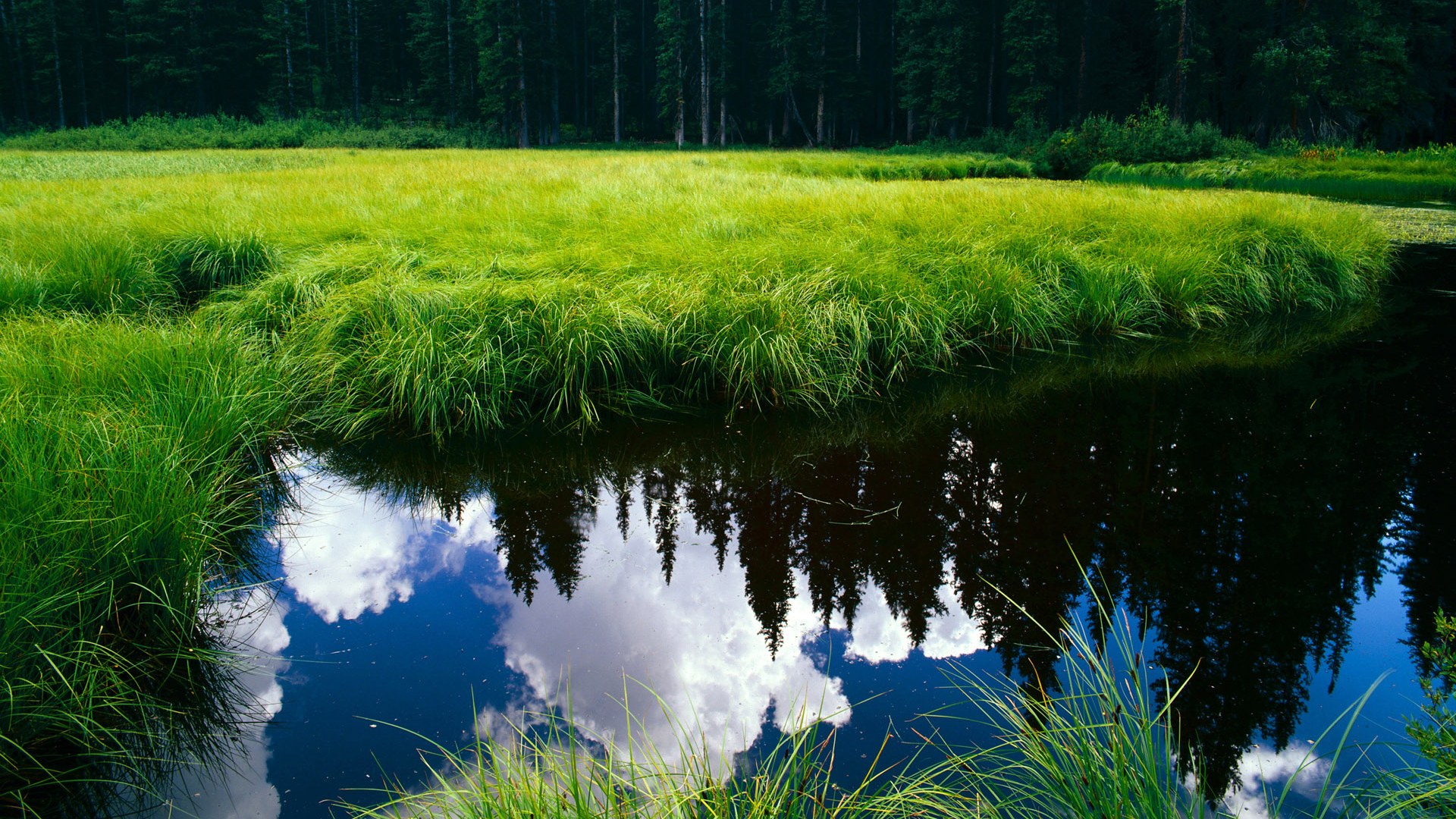 铁卫绝响，2026世界杯之夜，阿劳霍的生涯封神之战