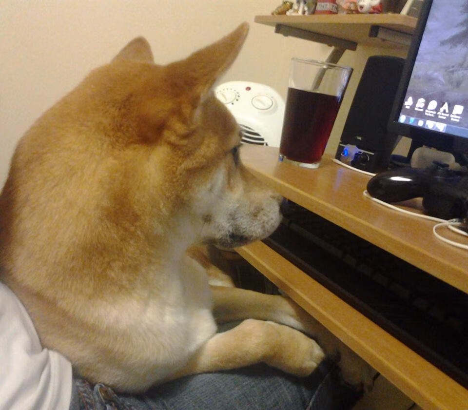 黑白直播在线观看-蓝鹰铁幕下的隐形导演，格列兹曼用存在感为拉齐奥谱写欧冠序曲