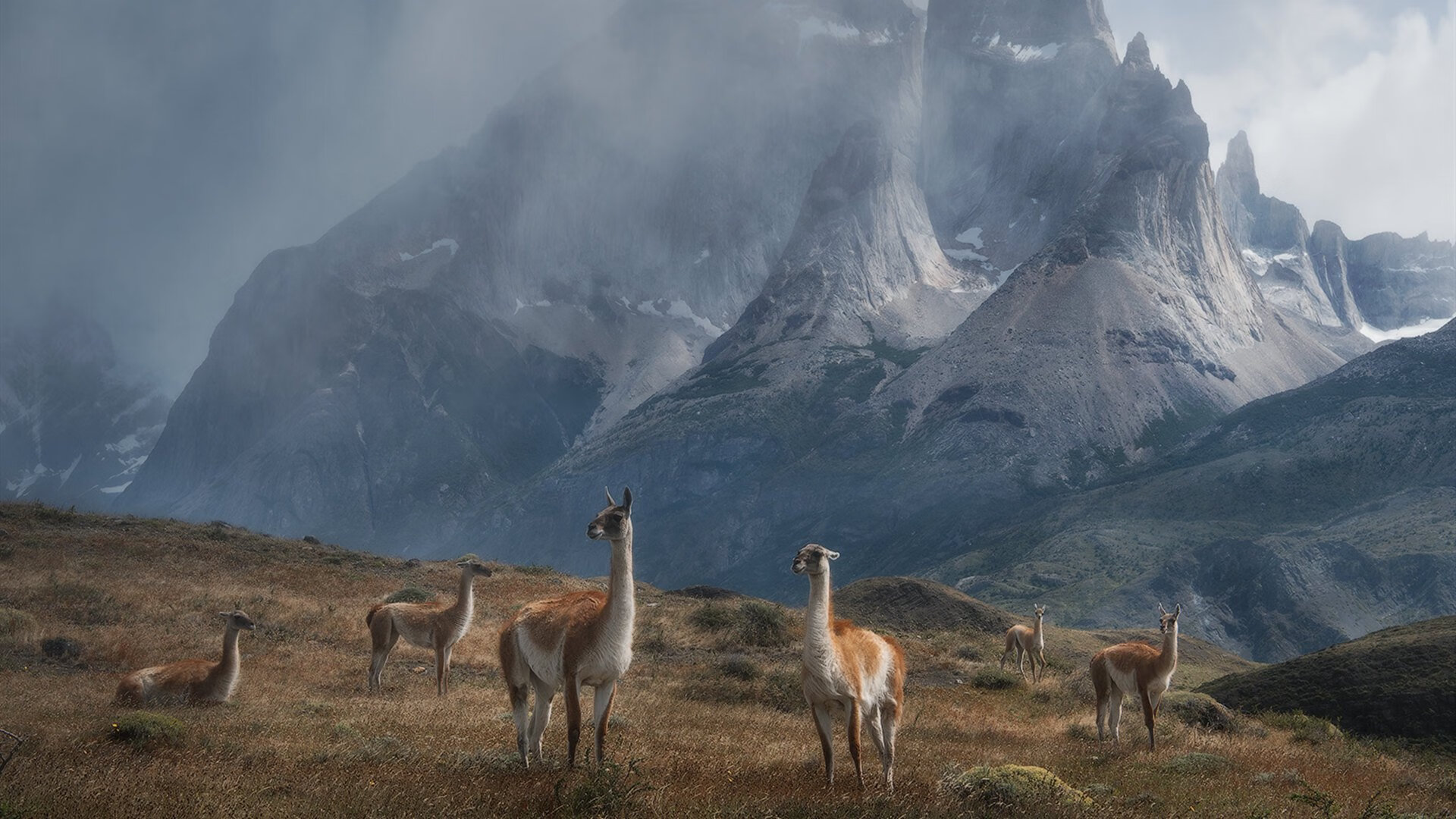 黑白直播体育-斯通斯一夫当关！德甲争冠夜见证磐石的终极进化