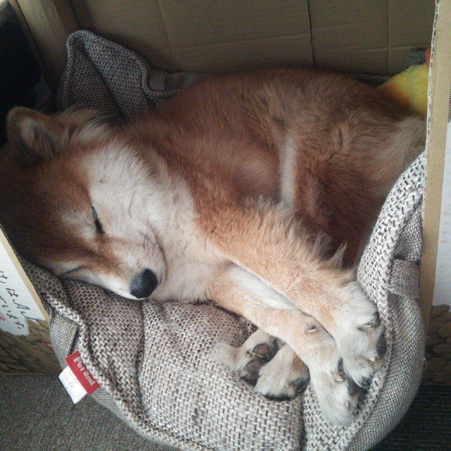 黑白直播网-莫兰特关键回合显神威，山西队激战开拓者虽败犹荣