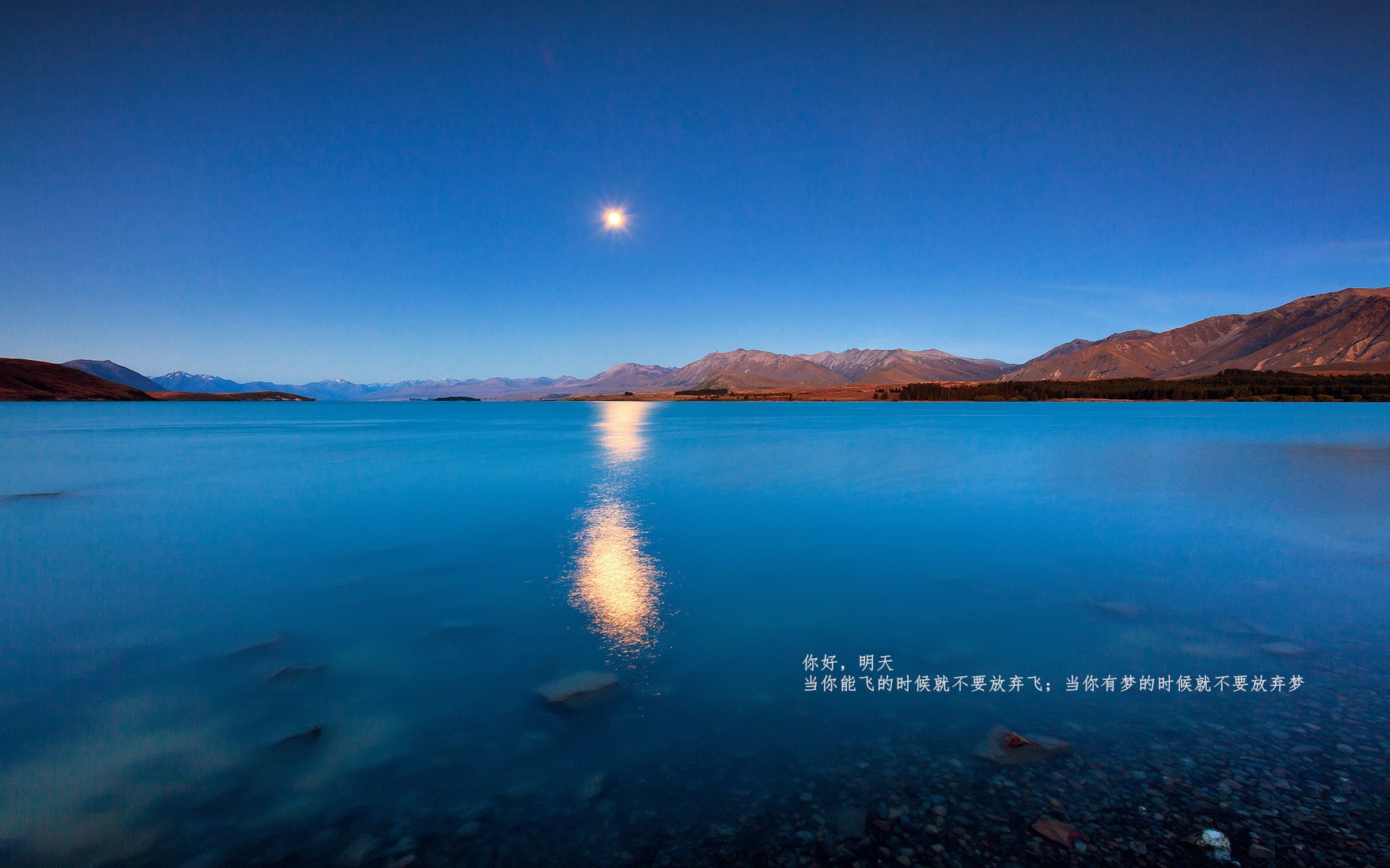 跨界战术风暴,吉林队智取奇才,班凯罗F1揭幕战强势接管