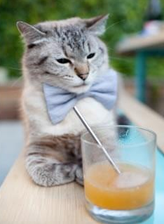 黑白直播体育-罗德里，请将胜利献给西班牙！