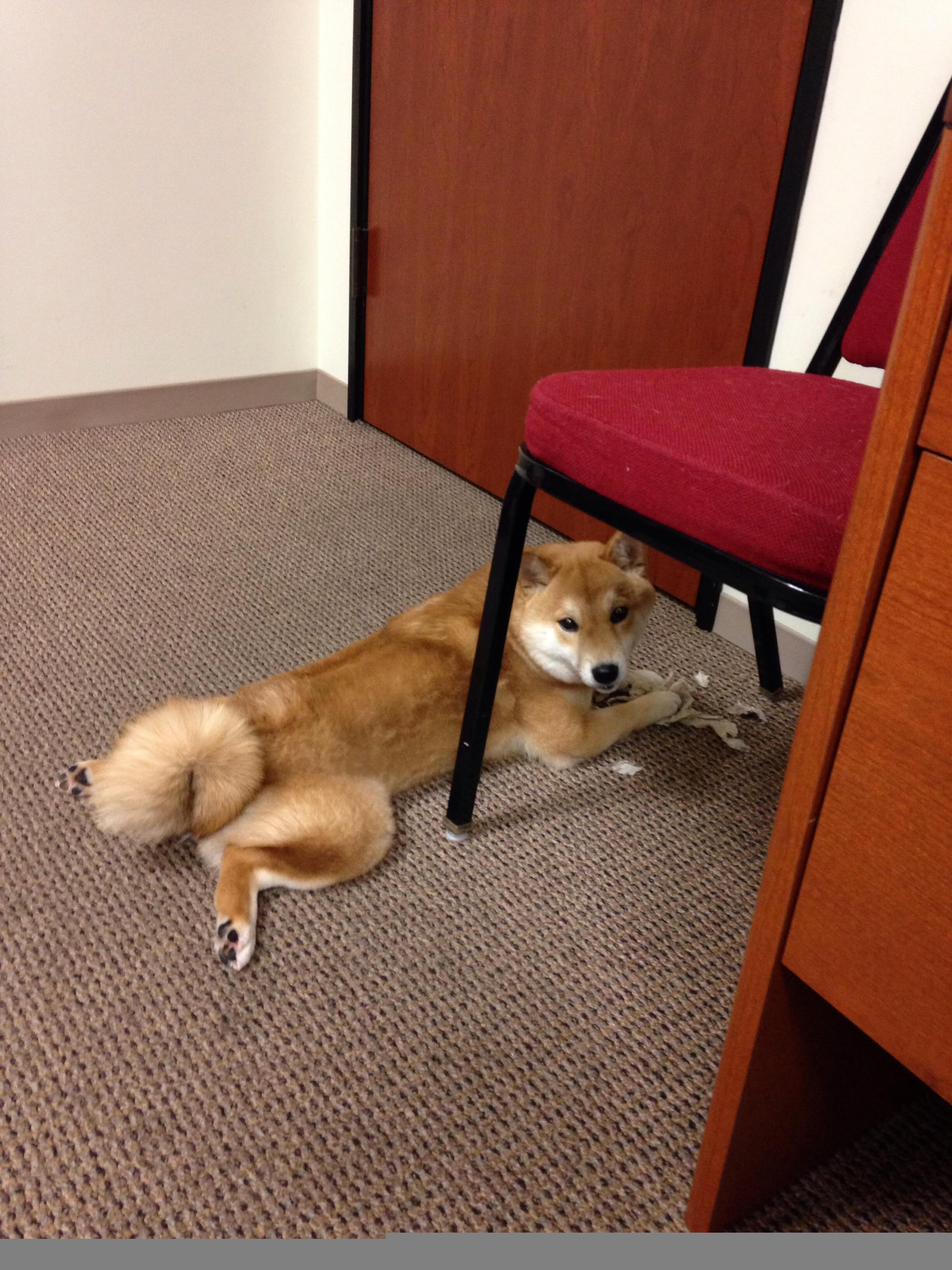 金色死神降临麦迪逊！克莱11记三分收割尼克斯，绿军东决之路再进一步