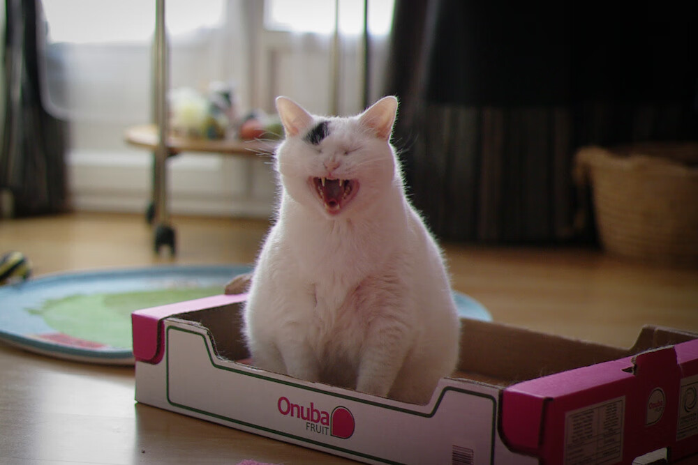 东决关键战之夜,萨卡连续得分拉开差距,铸就传奇逆转