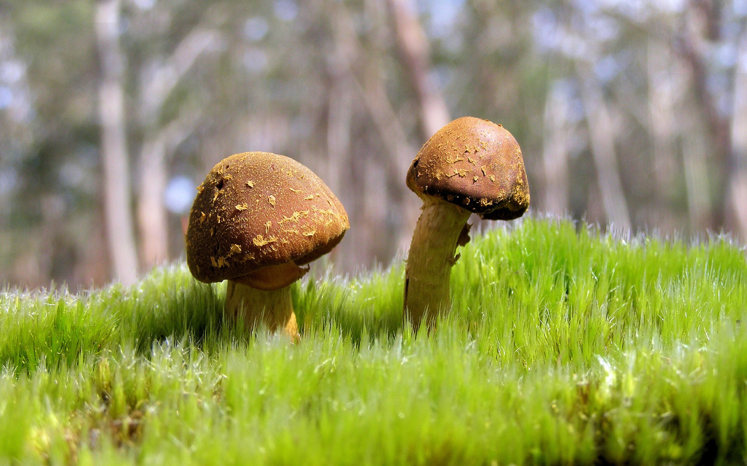 黑白直播在线观看-智利球队压哨绝杀莱比锡红牛，迪亚斯荣膺全场关键先生