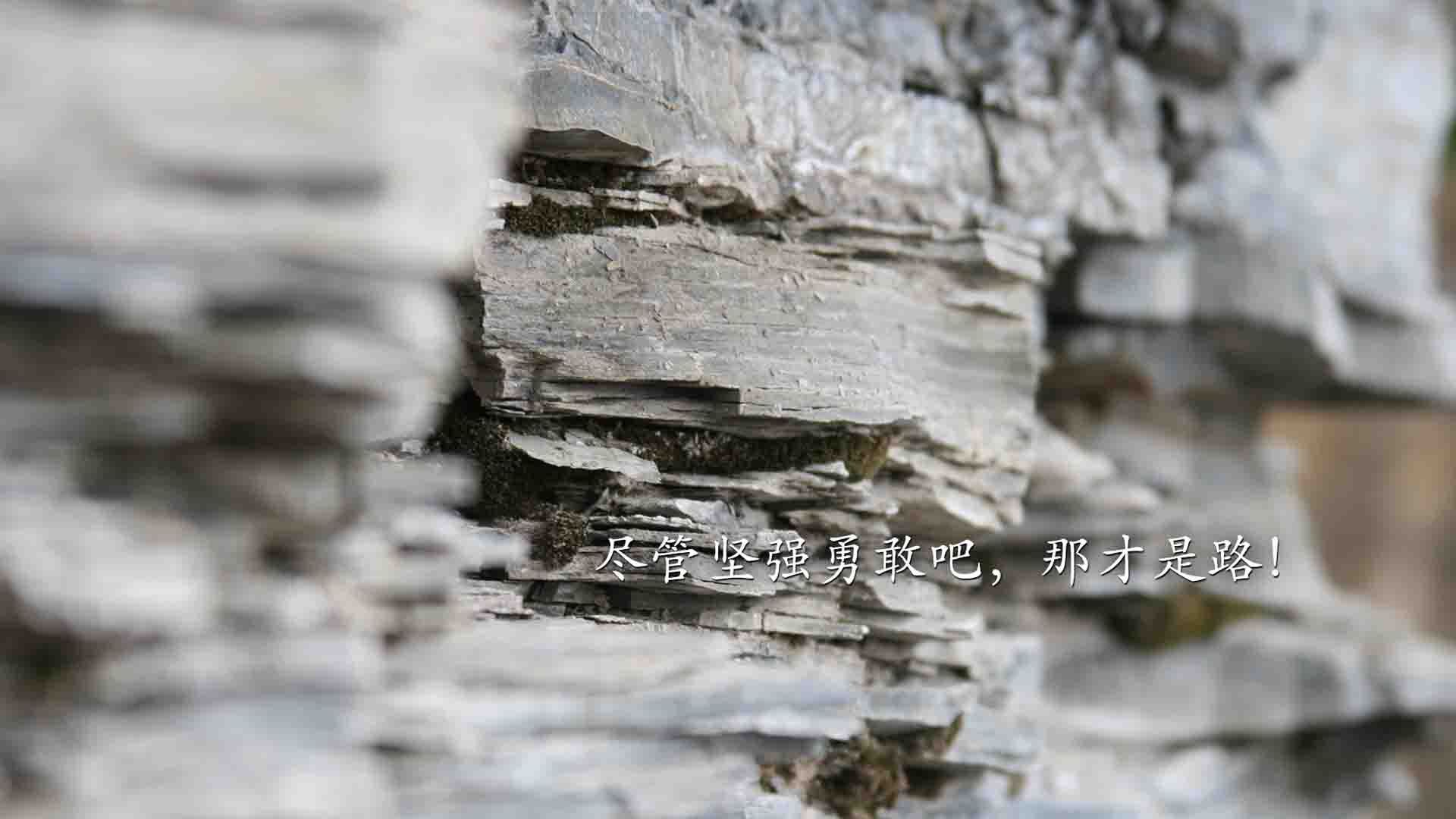 帝王之相，塔图姆于奥运关键夜点燃巨星之火