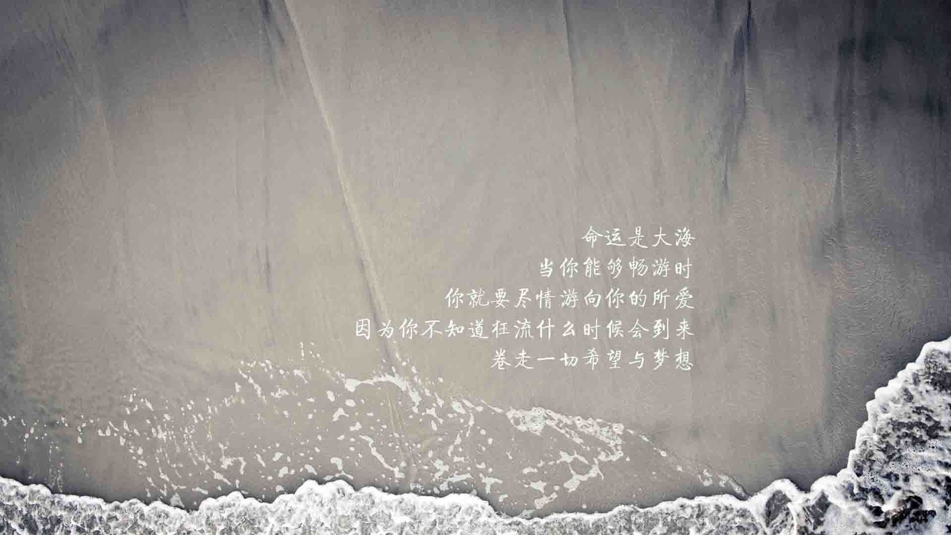 黑白直播体育-北欧风暴席卷中东，登贝莱导演逆转，瑞典2-1力克沙特取开门红
