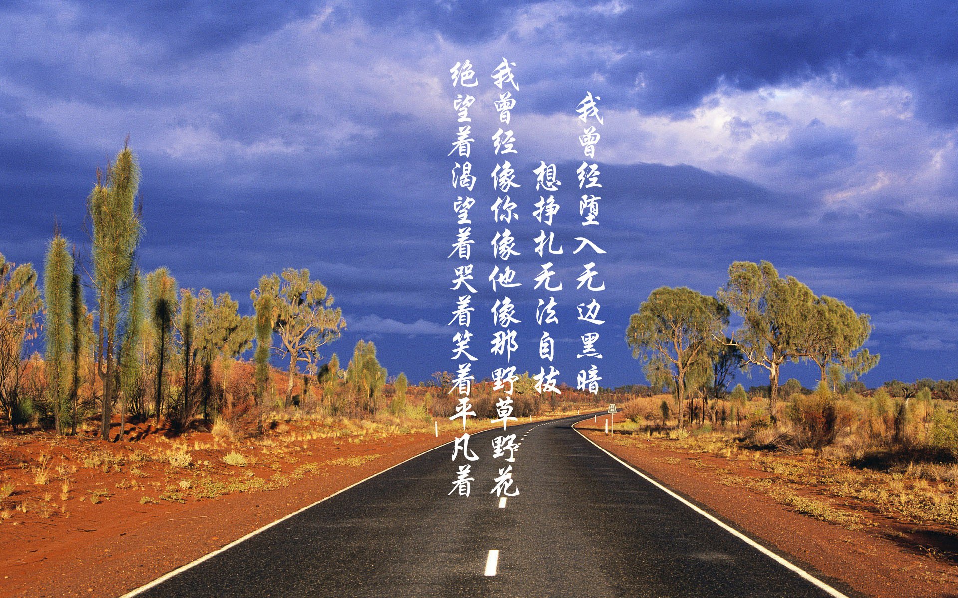 魔笛余韵，当布罗佐维奇在2026世界杯E组奏响交响乐章